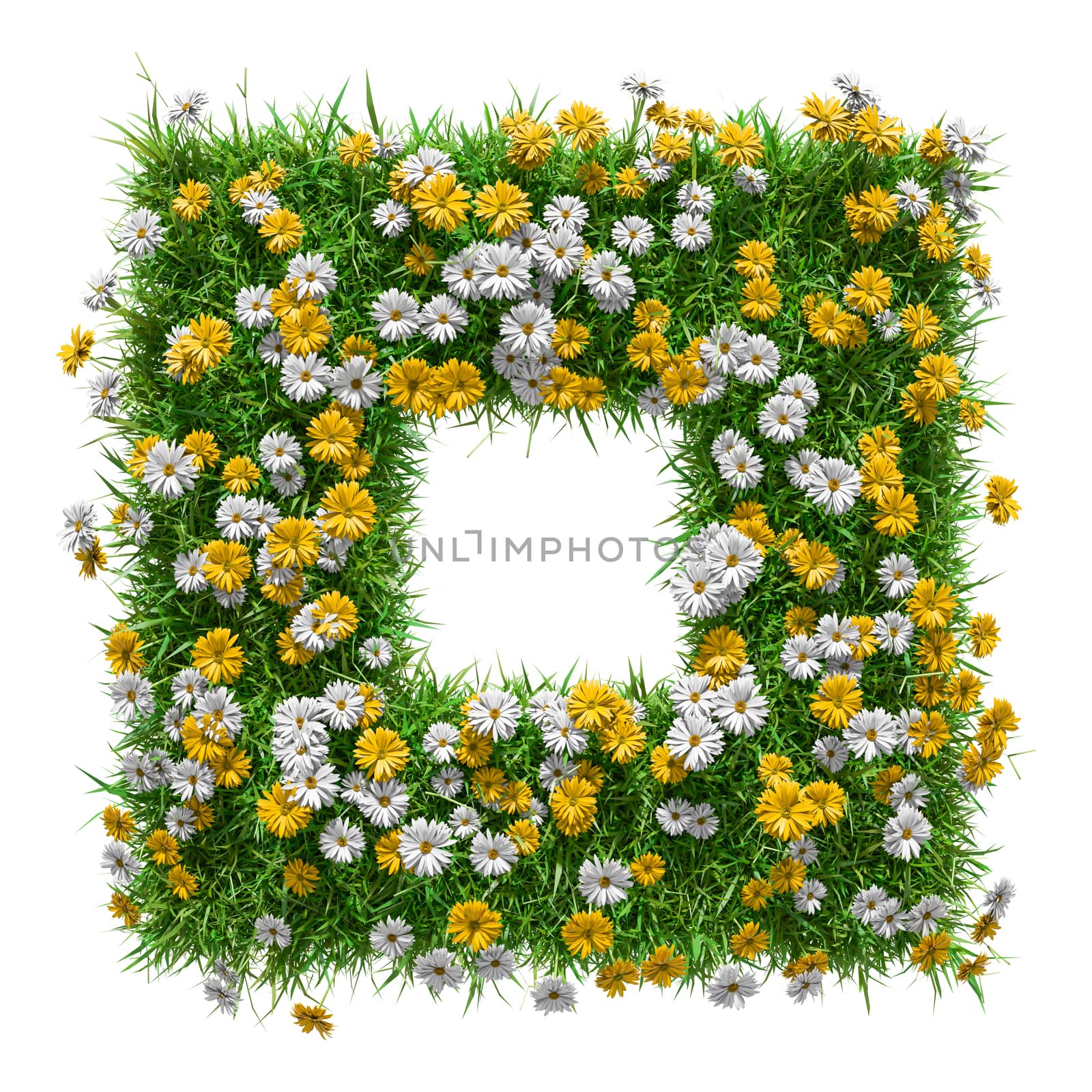 Green grass and flowers square frame with copy-space. Template isolated on white background. Symbol of nature and eco design. 3D Illustration