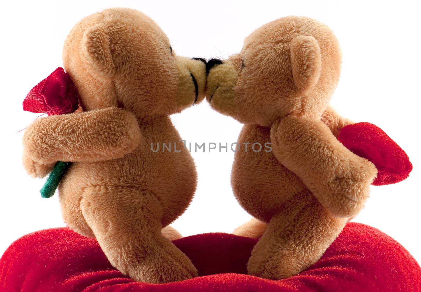 valentine teddy bears kissing isolated
