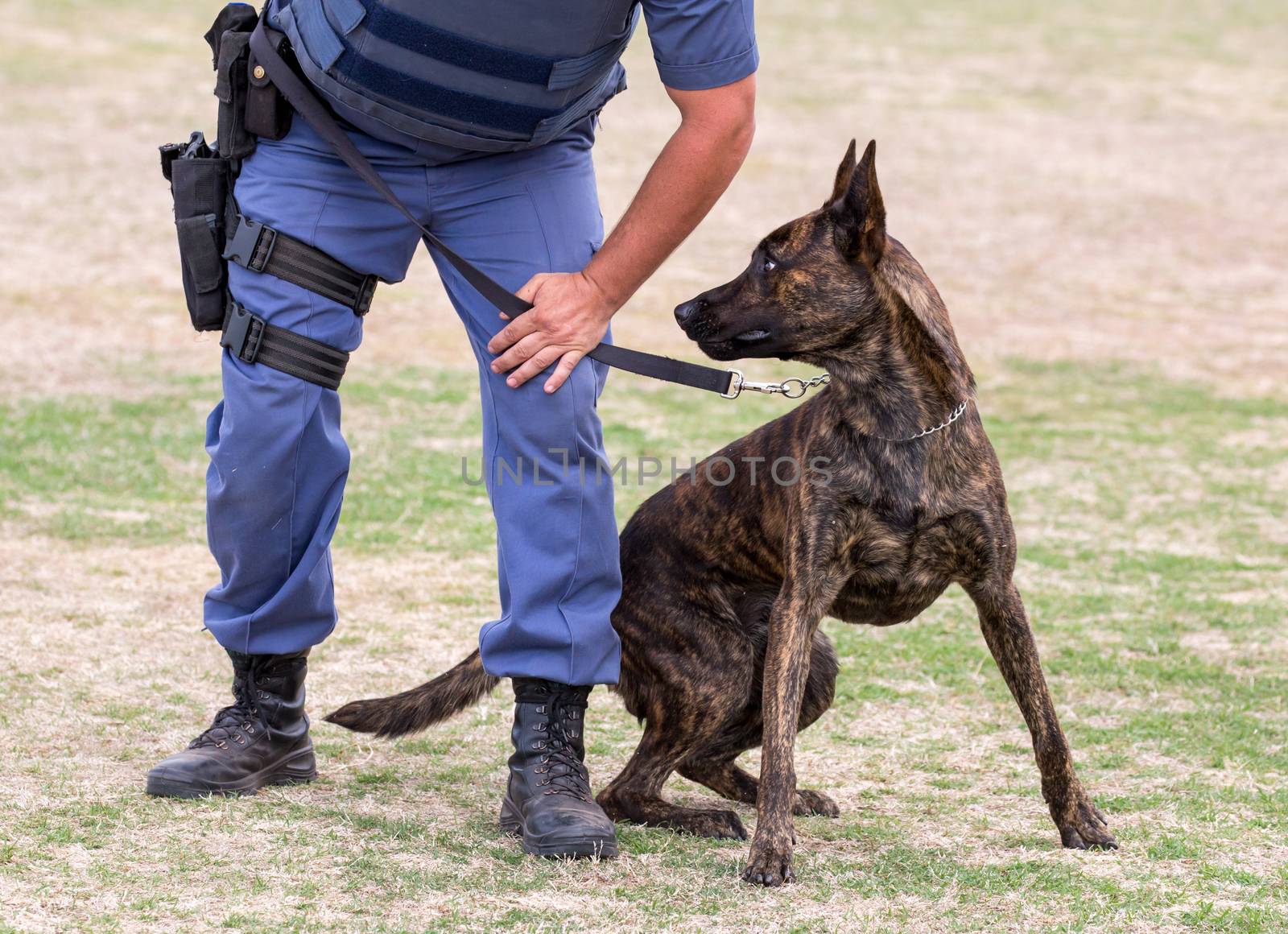 Angry Police Dog and Handler by fouroaks