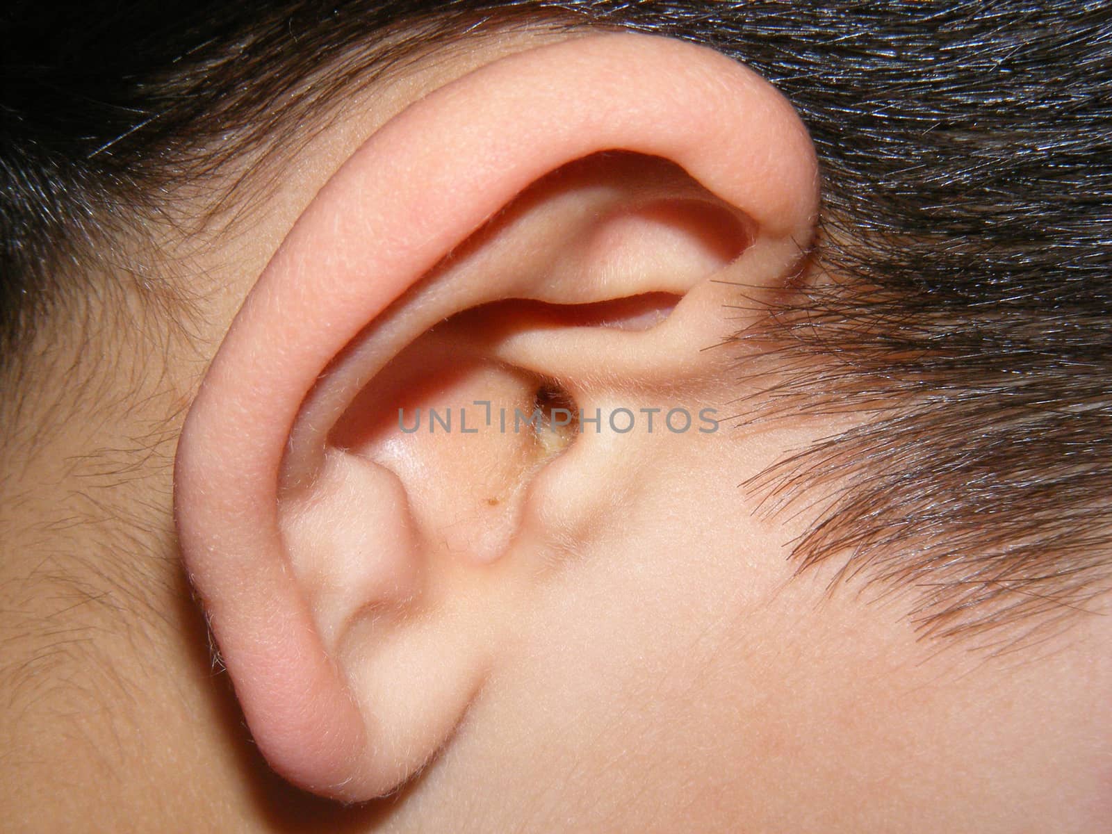 Human ear