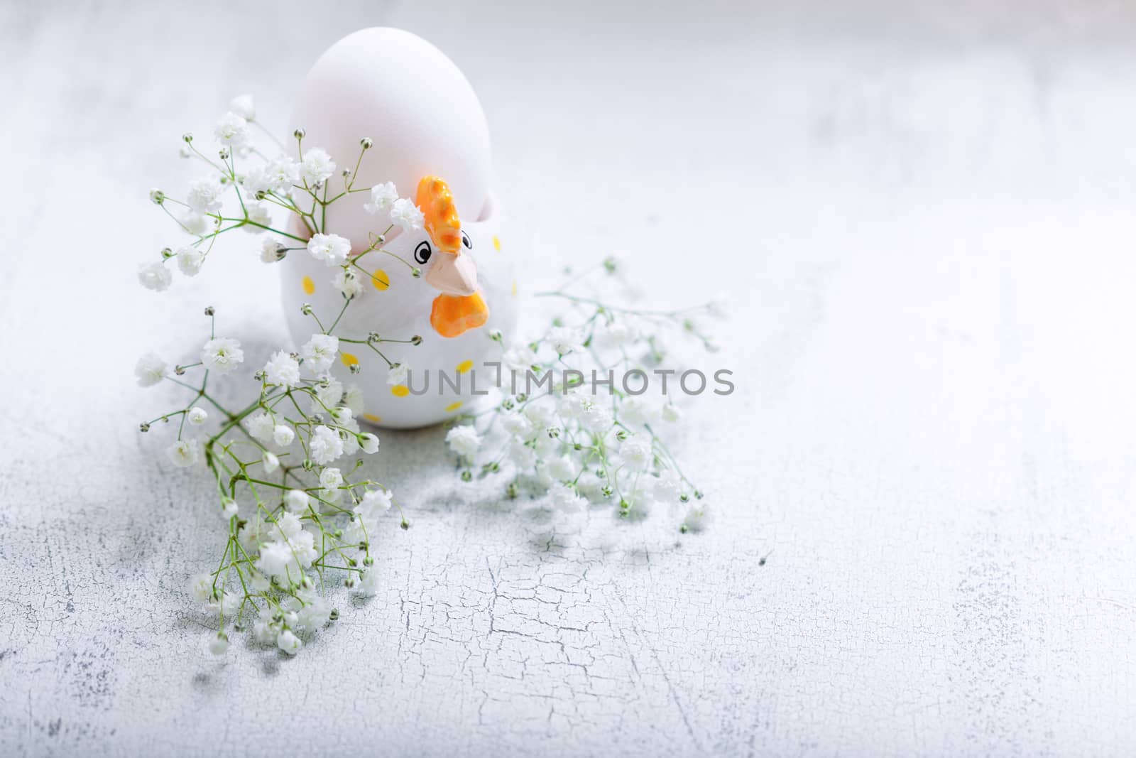 Egg with Gypsophila on a white background. by supercat67
