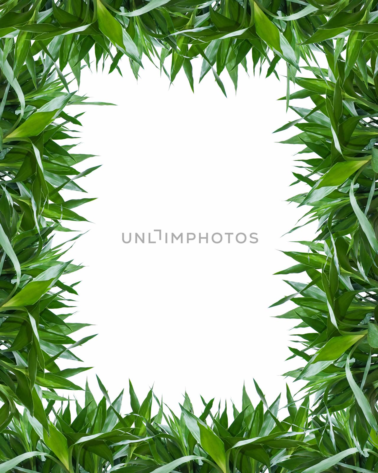 Bamboo leaves frame background by myyaym