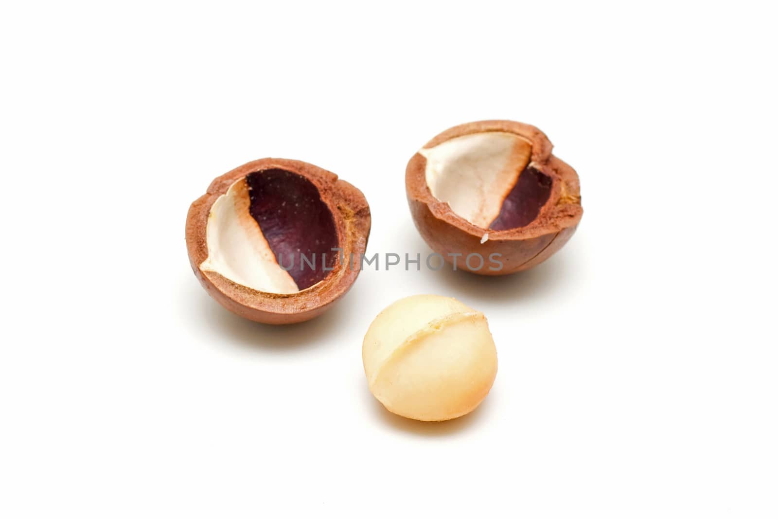 Macadamia nuts isolated on white background by myyaym
