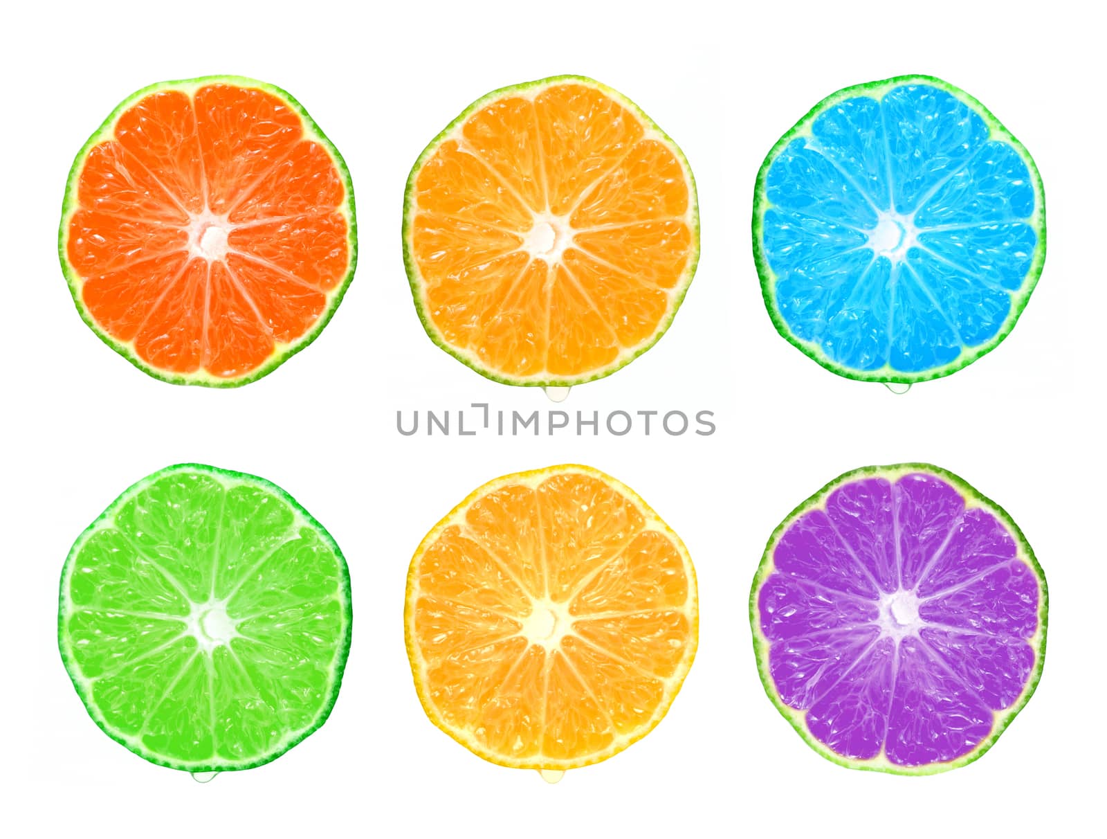 Color citrus slice isolated on white background