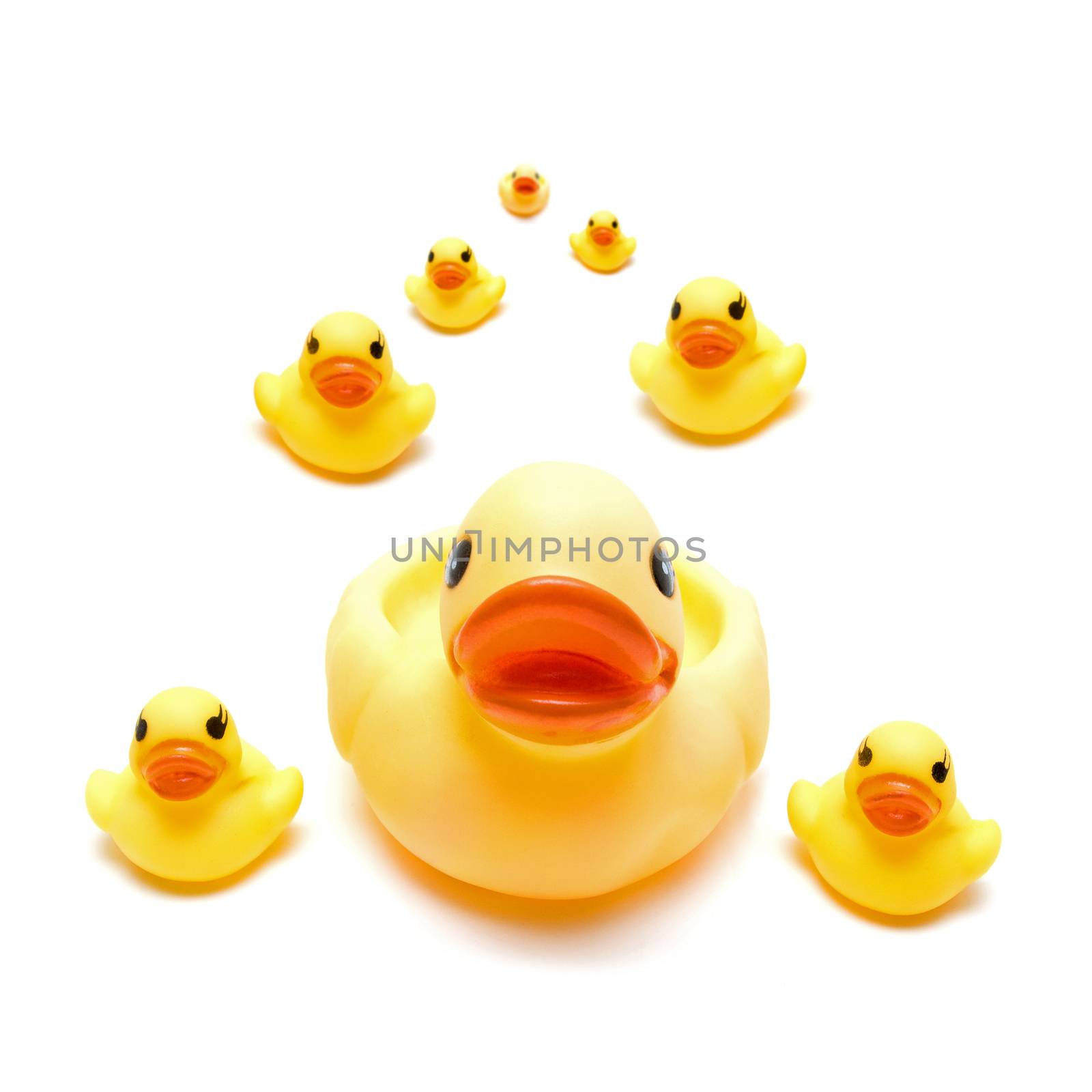 Group a yellow rubber ducks isolated on white background