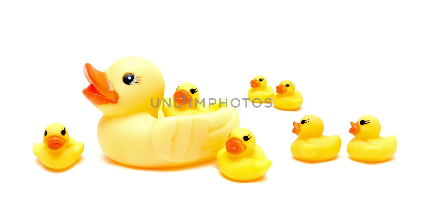 Group a yellow rubber ducks isolated on white background by myyaym