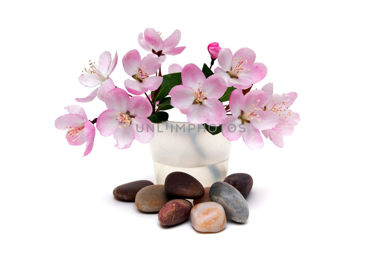 Spa stones with flowers isolated on white background