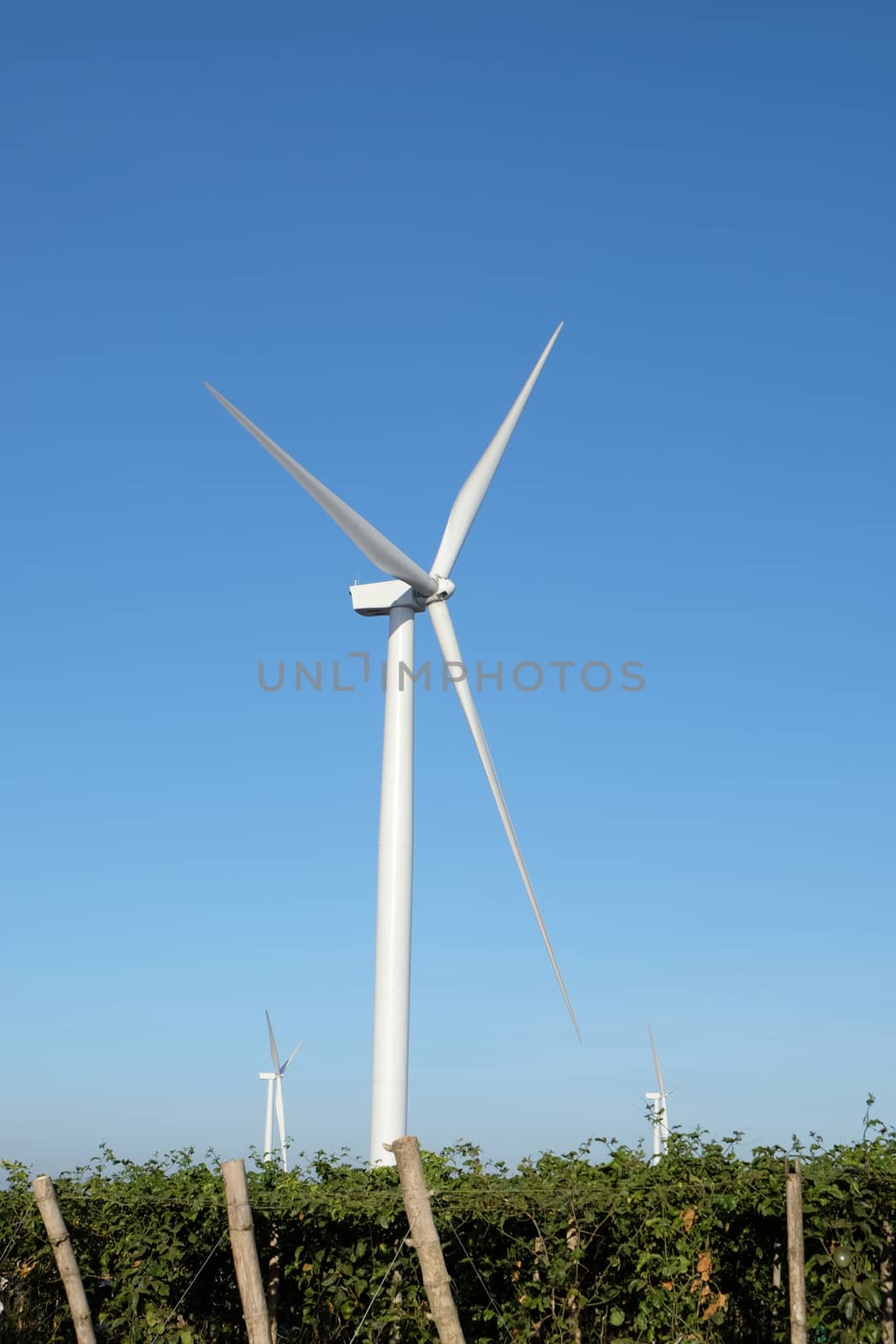 wind turbine in thailand