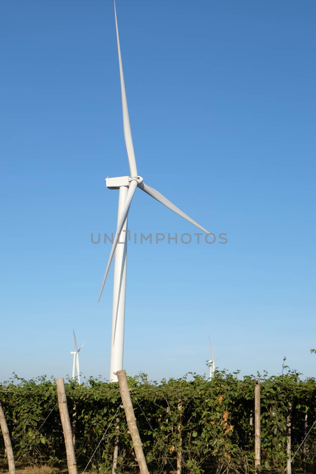 wind turbine in thailand by pumppump