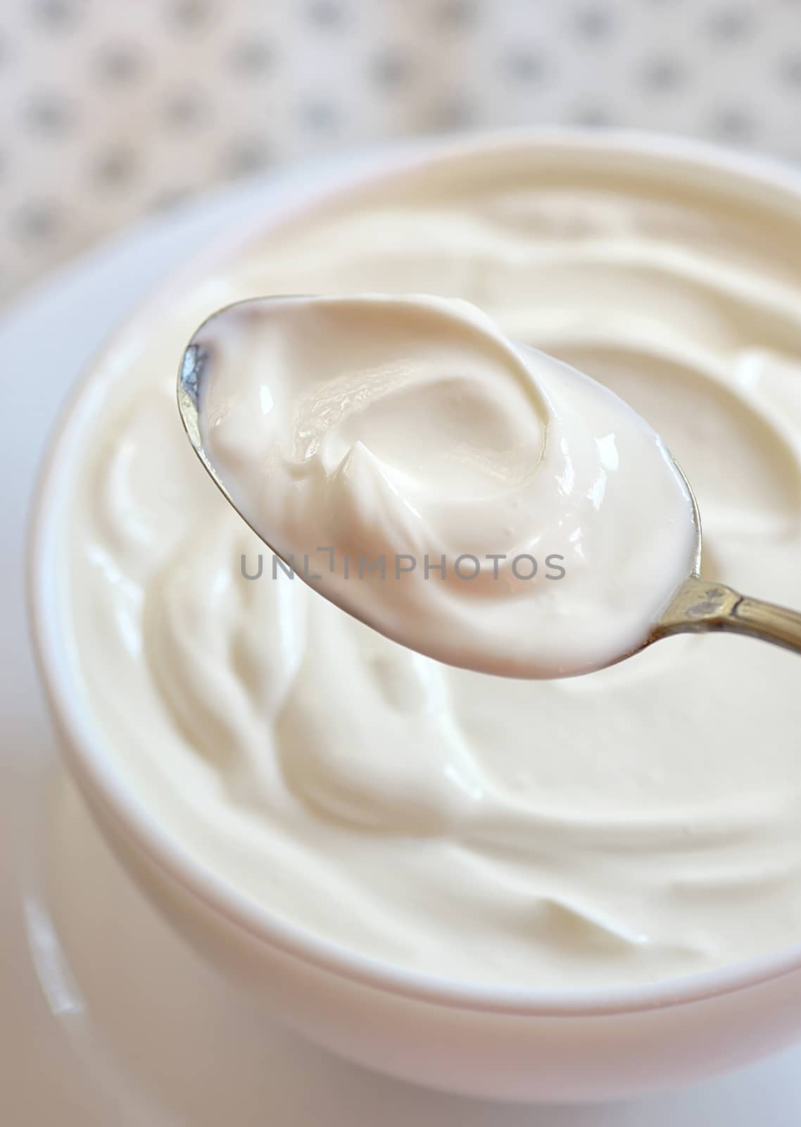 Ceramic bowl of white yogurt in spoon