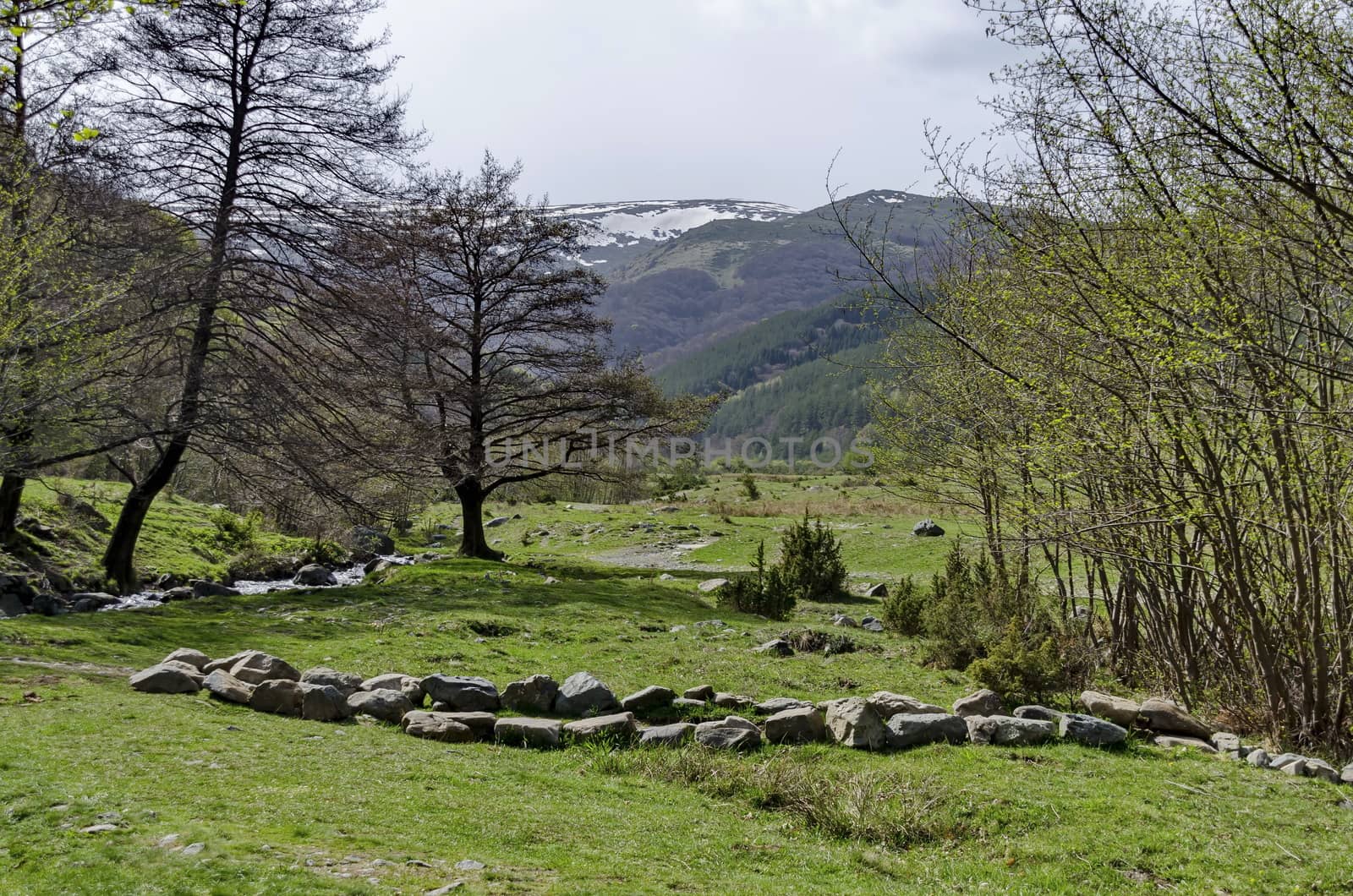 Vitosha mountain area by Jeleznitsa village, Sofia