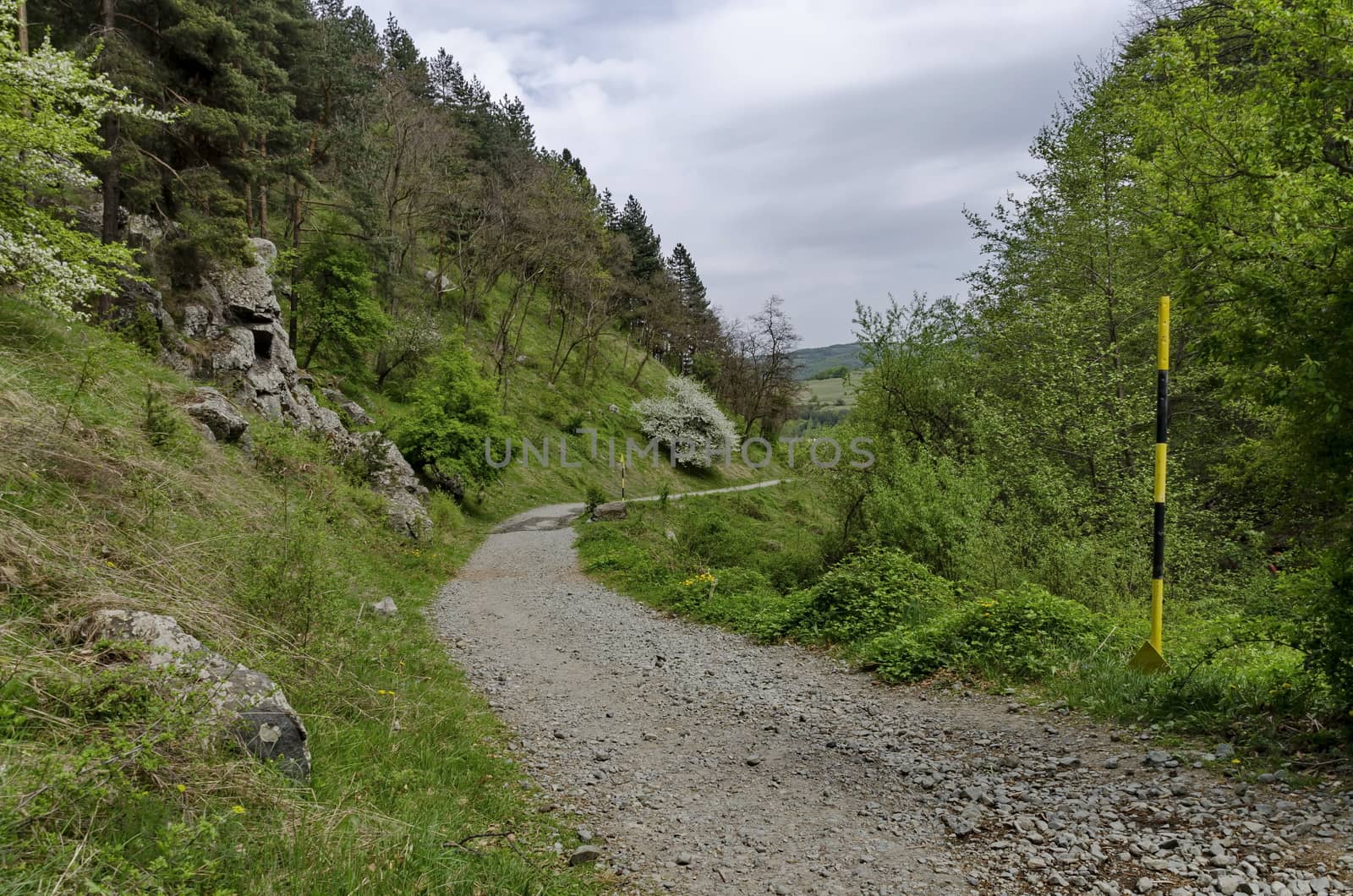 Vitosha mountain area by Jeleznitsa village, Sofia