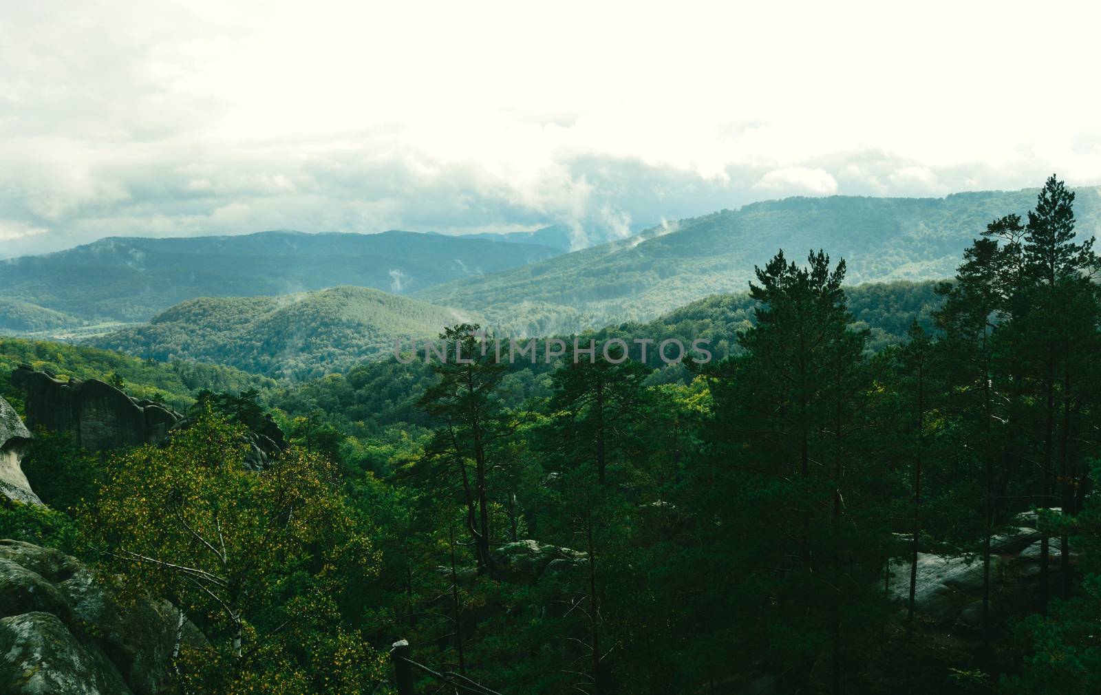 Mountains -green filter - Carpathians on the border of Ukraine and Romania