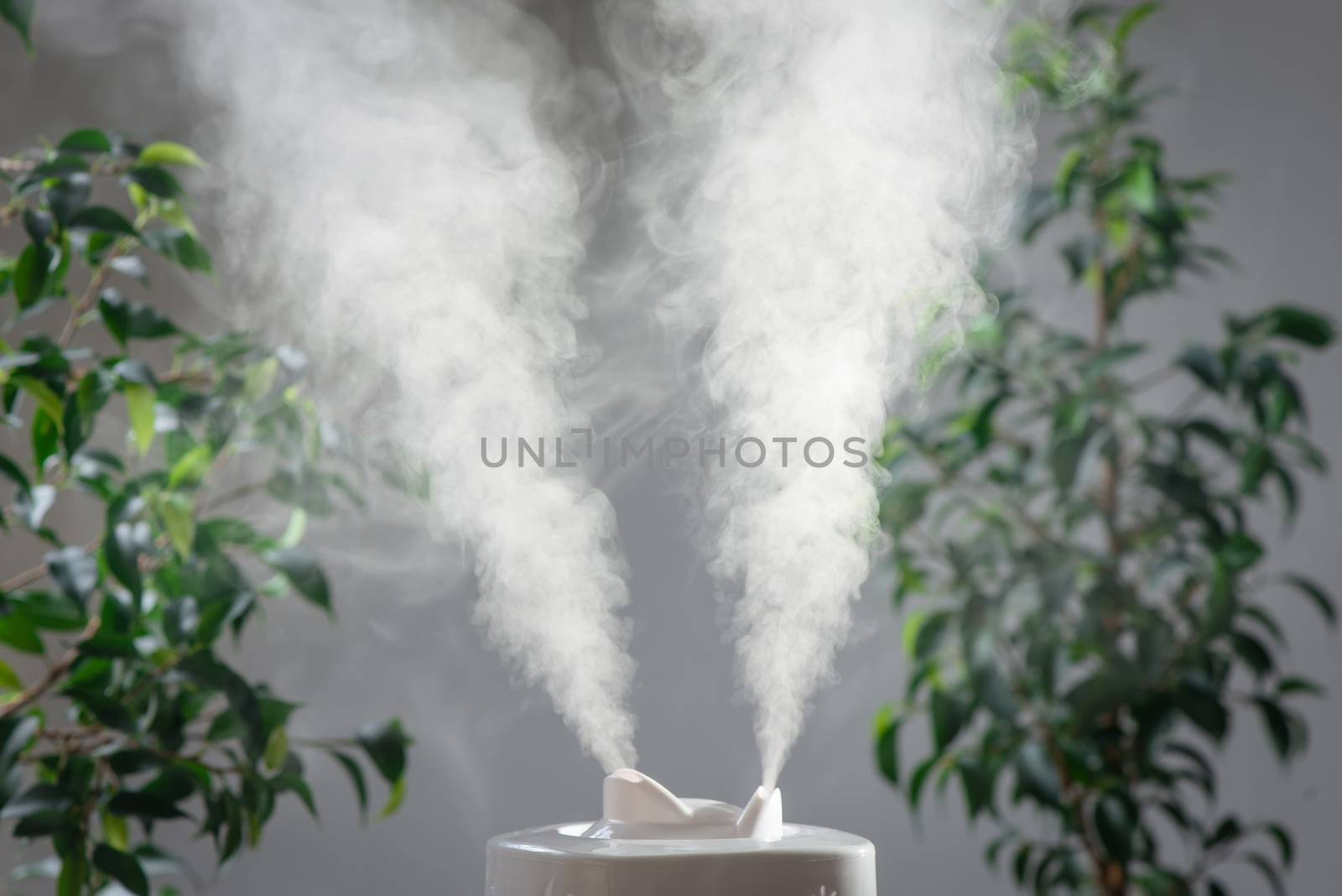 ultrasonic humidifier in the house. Humidification. Vapor by Draw05