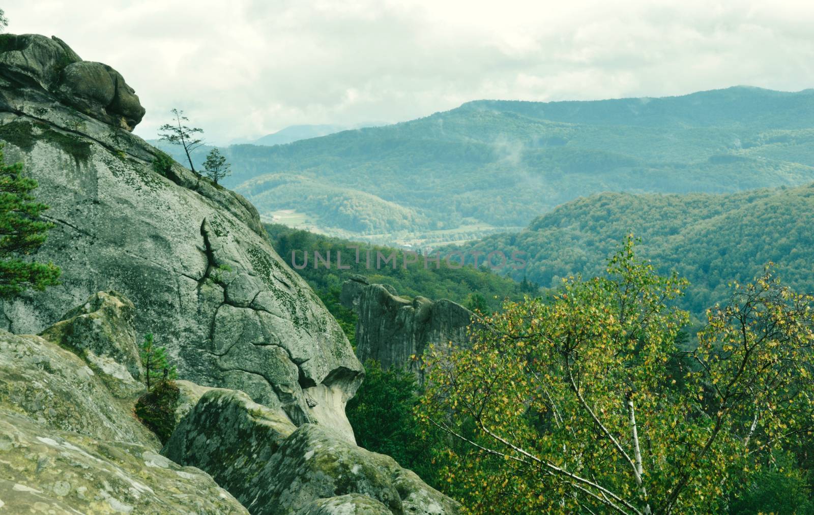 Mountains -green filter - Carpathians on the border of Ukraine and Romania