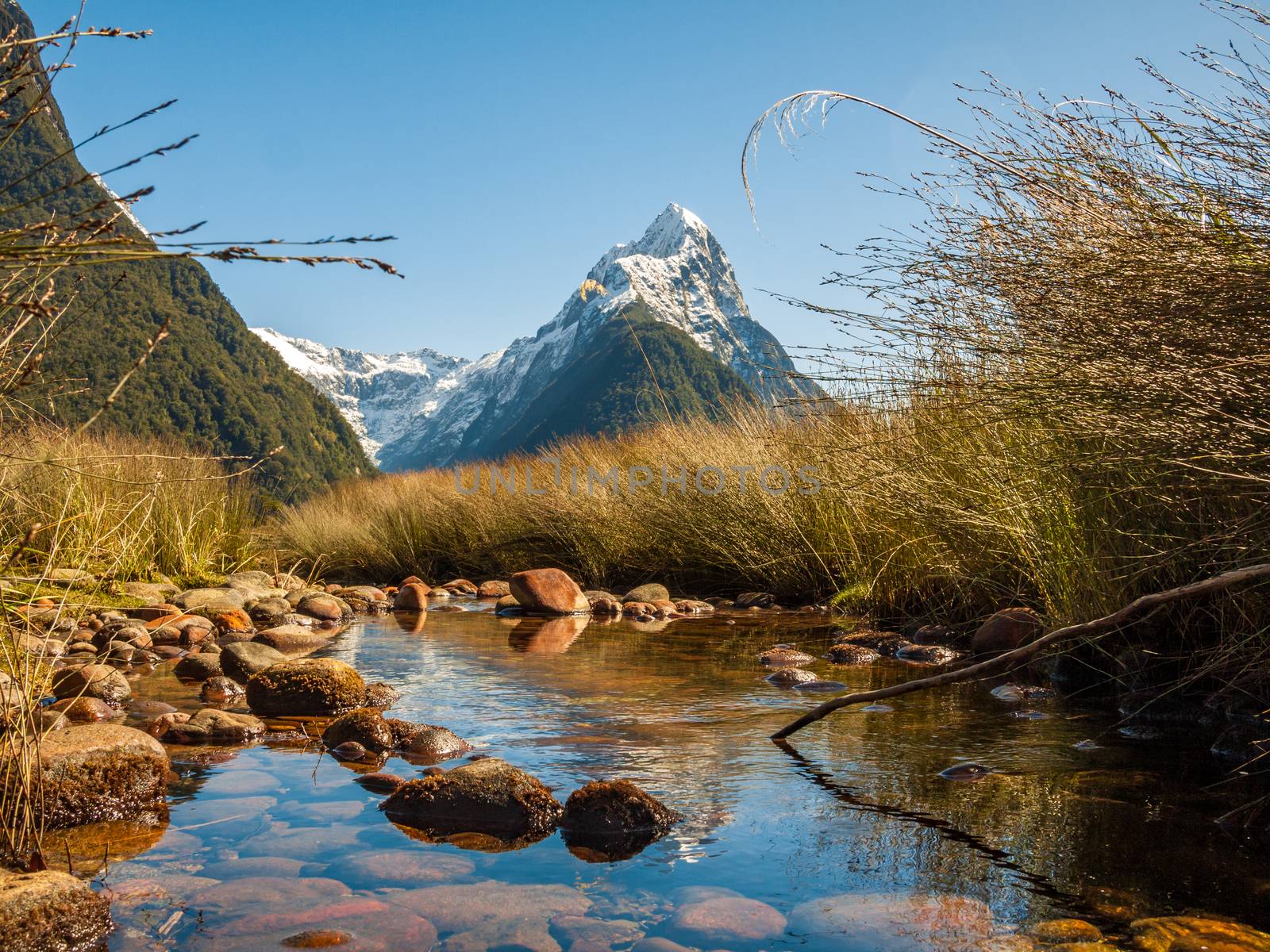 Snow caped mountains reflecting in a river