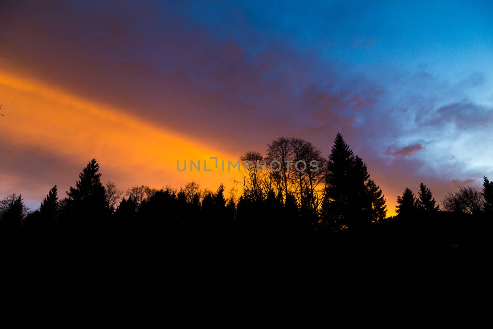 orange and purple sky with silhouette foreground