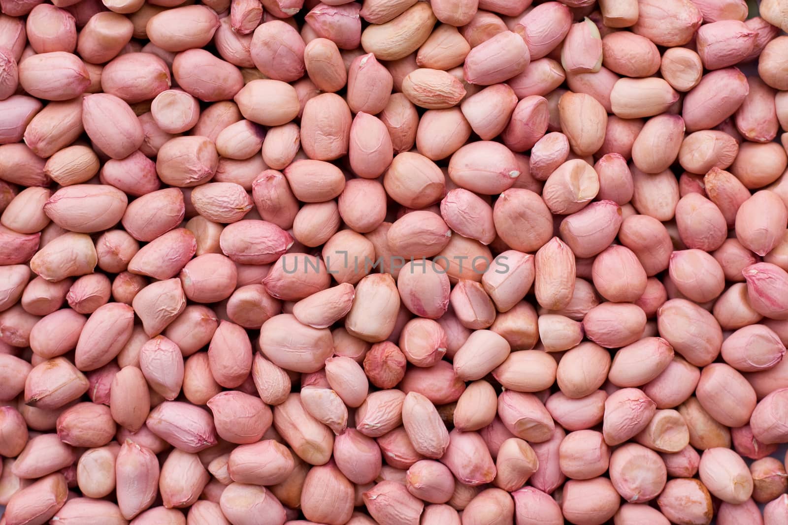 Peanut kernel background