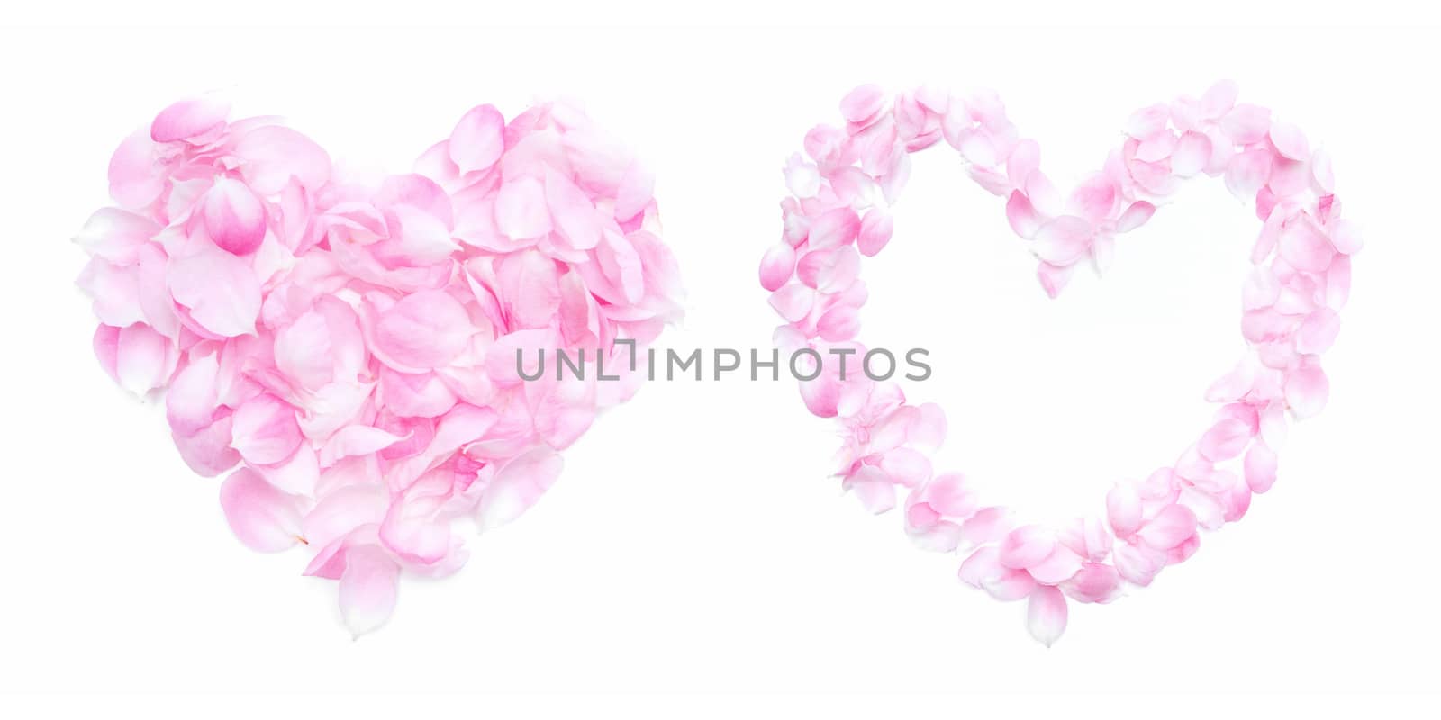 Petals Heart  isolated on white background
