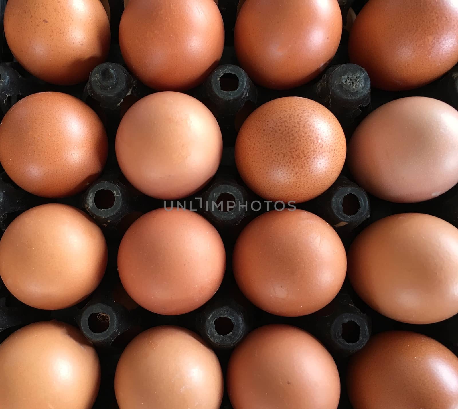 Top view closeup of organic eggs in black container.