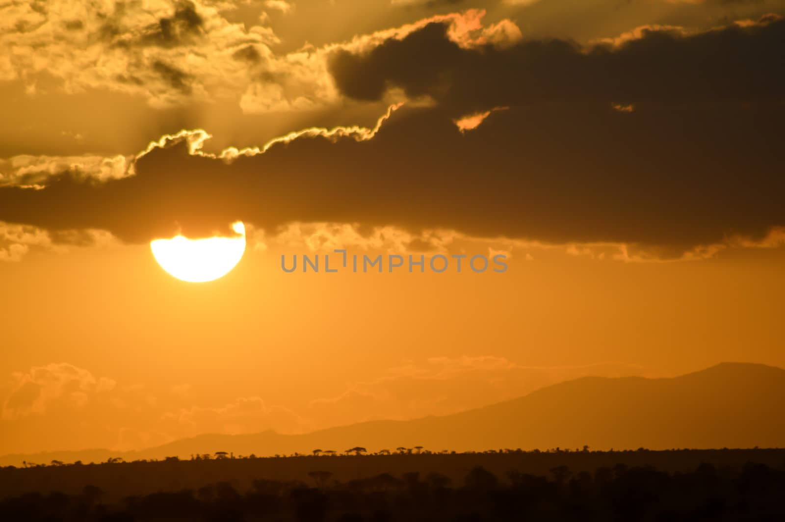 Sunset over the savanna of West Tsavo Park in Kenya