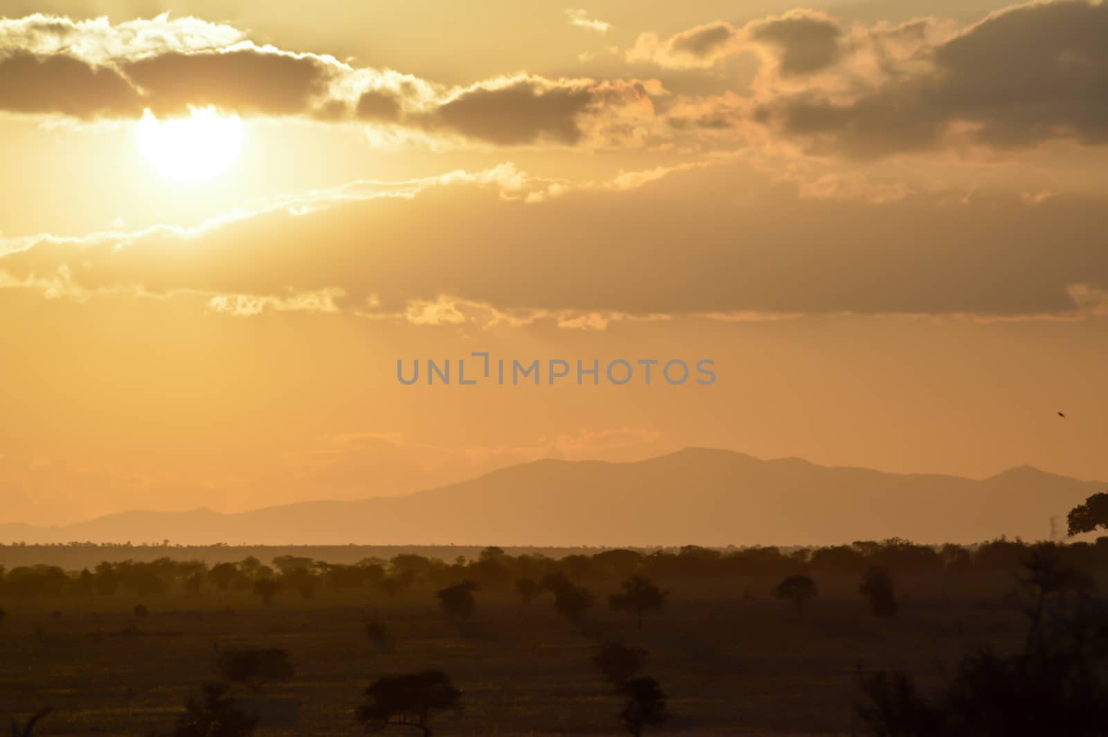 Sunset over the savanna of West Tsavo Park in Kenya