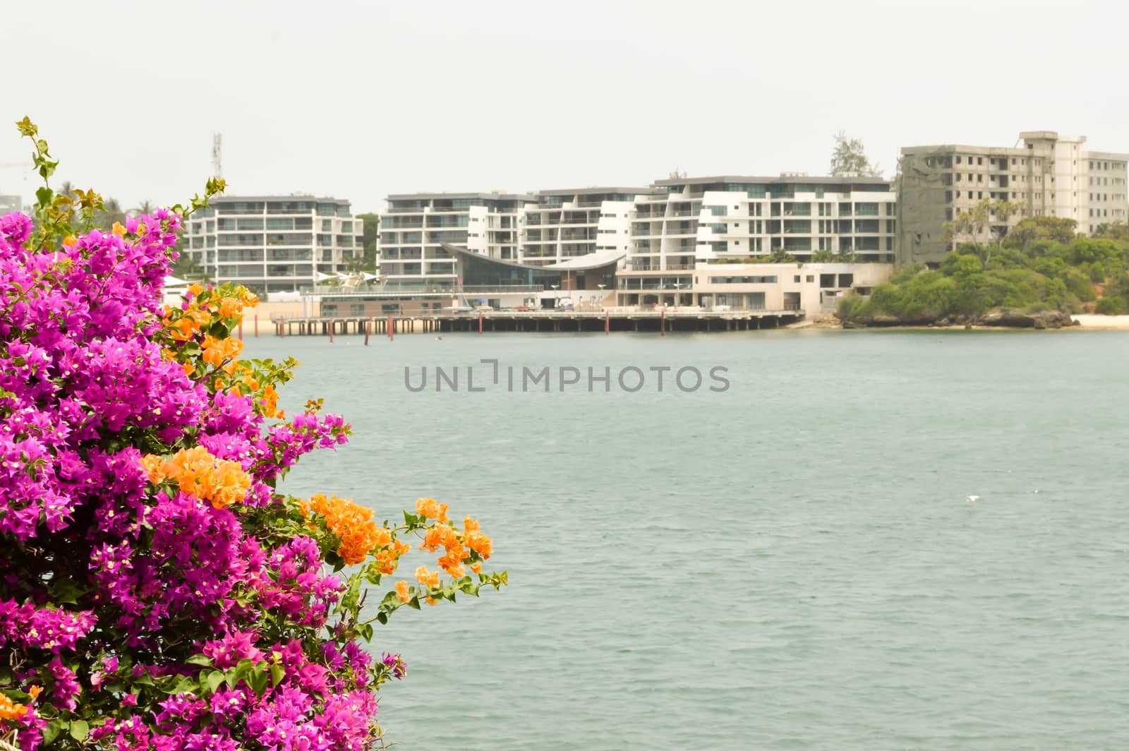 View of the Mombasa River in Kenya by Philou1000