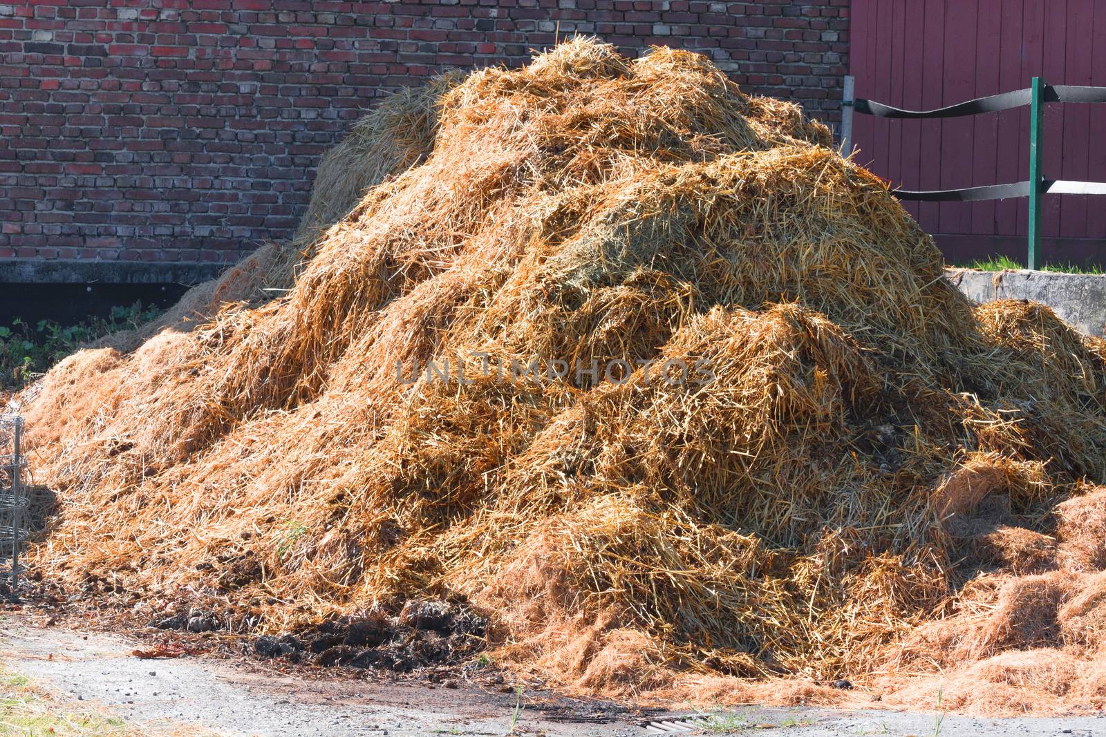 
A manure pile on a farm in the background a wall of bricks.