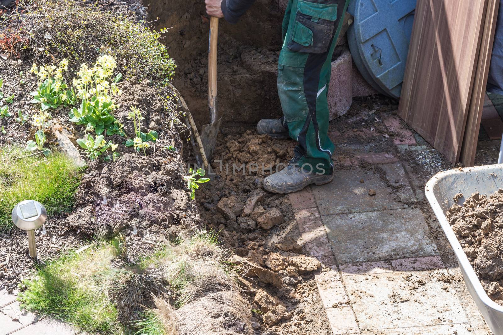 Gardening, loaded a wheelbarrow with earth excavation