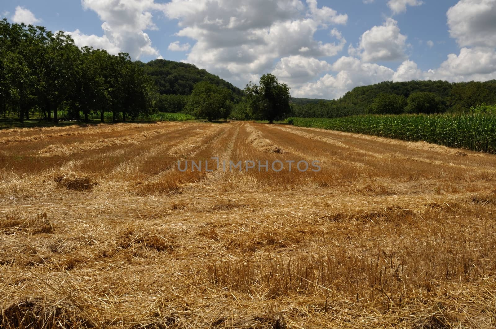 Rural landscape in Dordogne by BZH22
