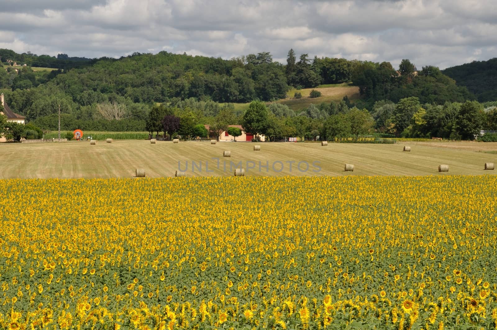 Rural landscape in Dordogne