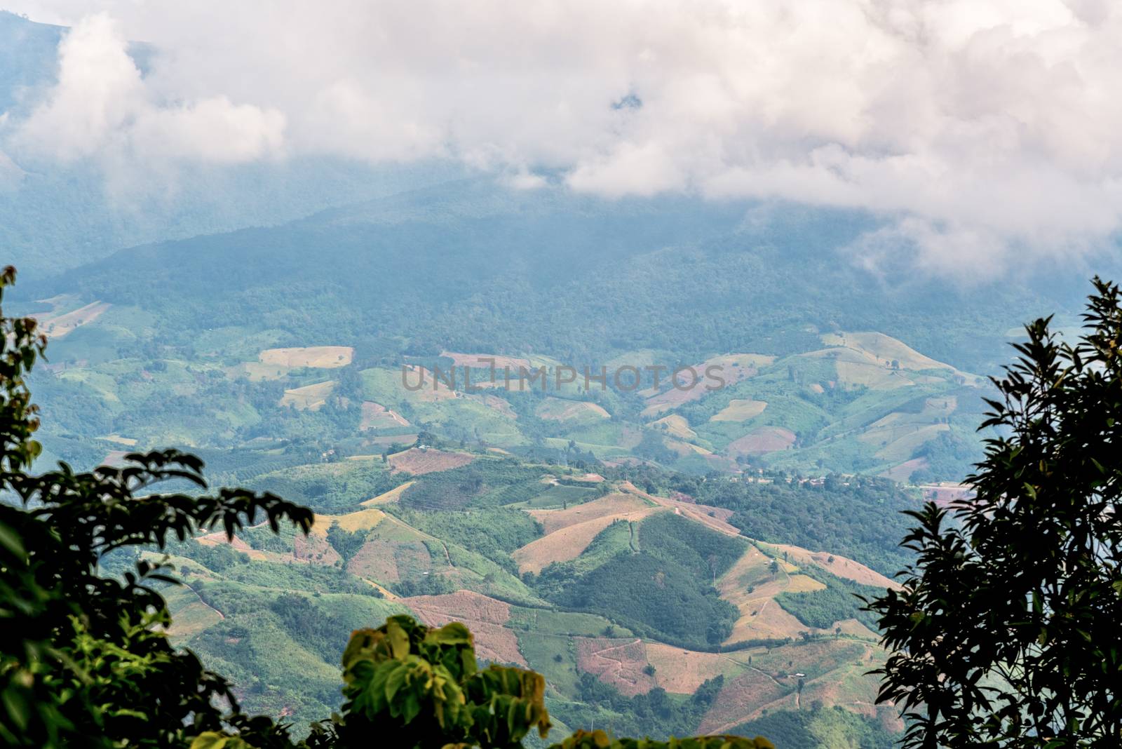 High angle view landscape of cultivated land in northern Thailand
