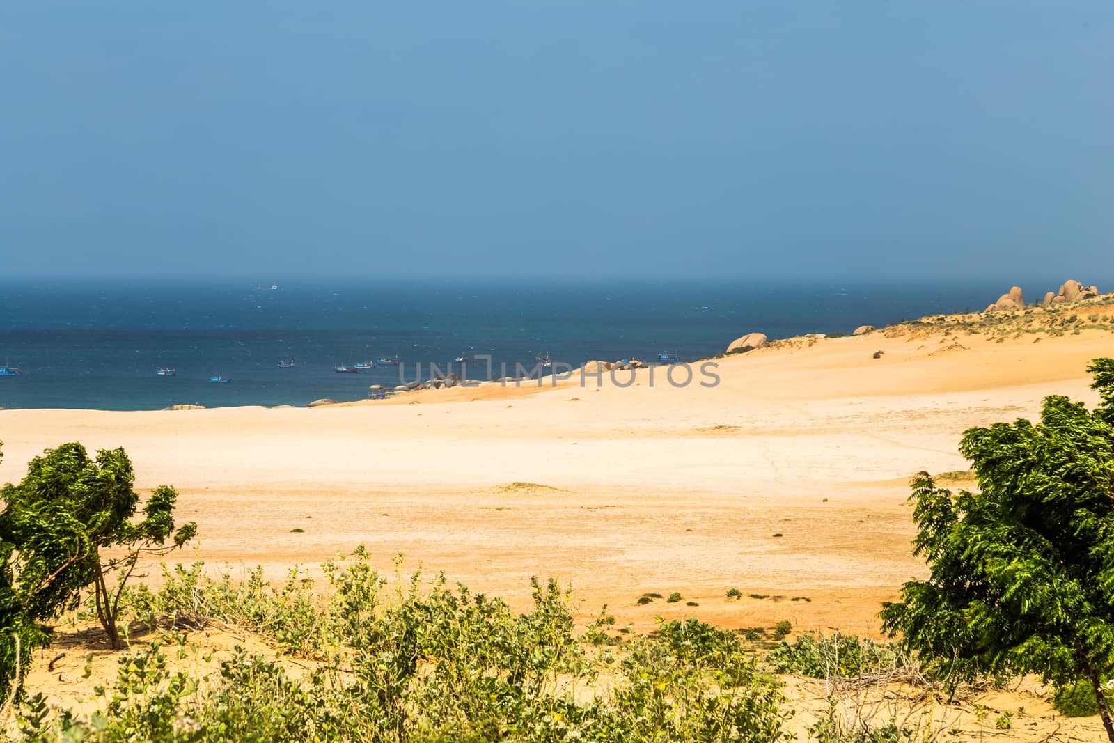 white sand beach with ocean in the background