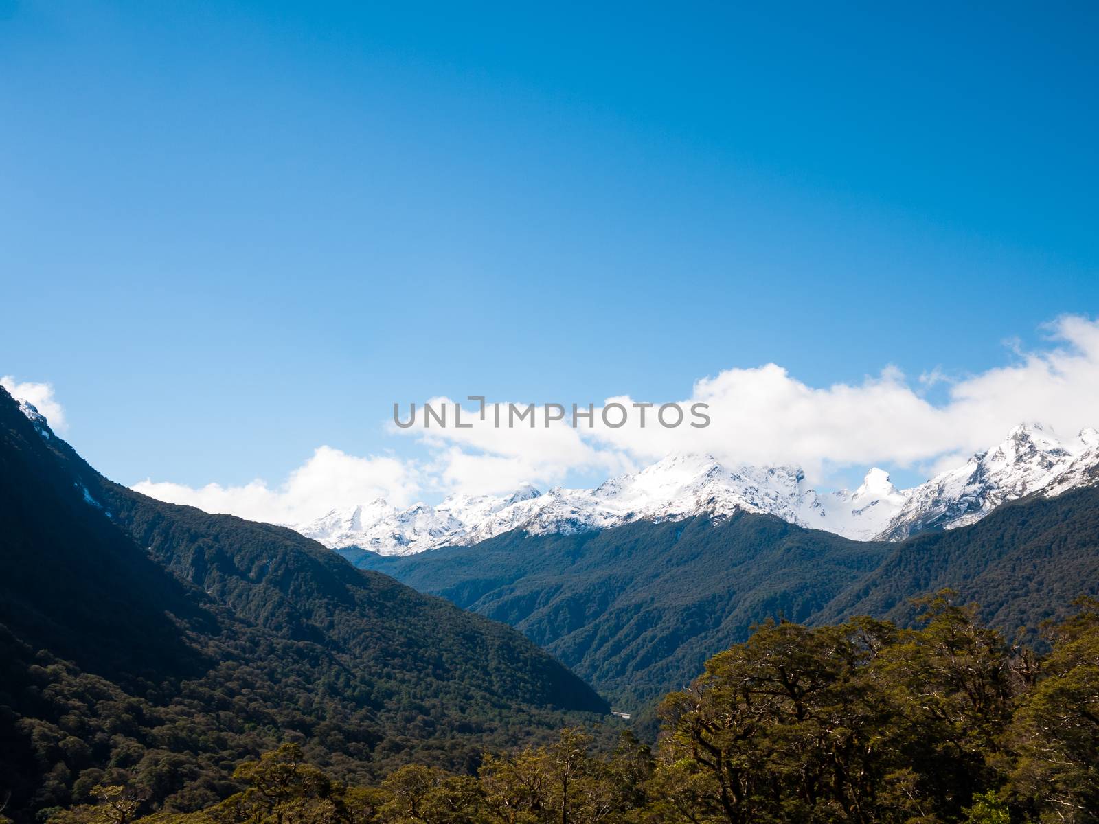 A blue sky day with a wild landscape