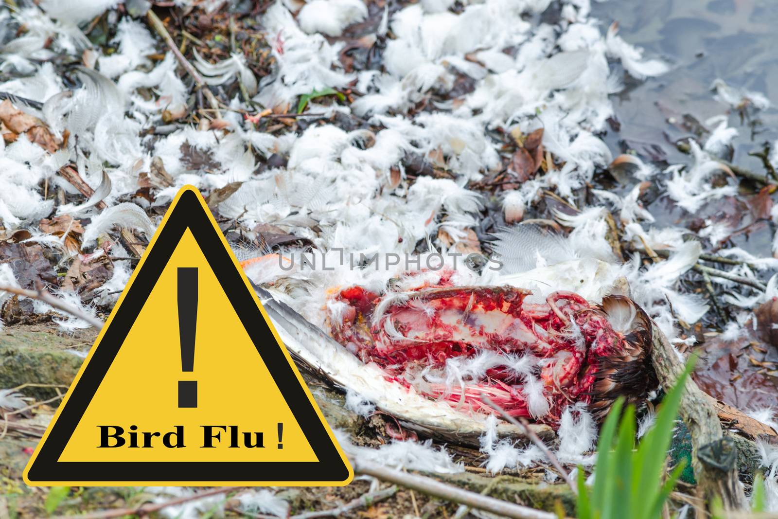 Symbolic general prevention against avian flu virus by JFsPic