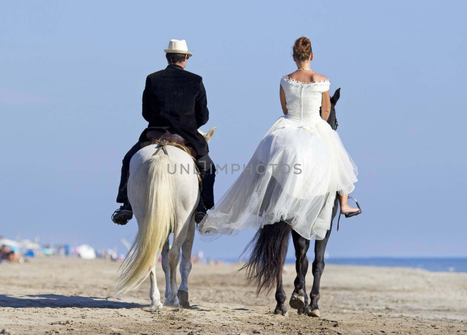 marrieds and horse walking on the beach