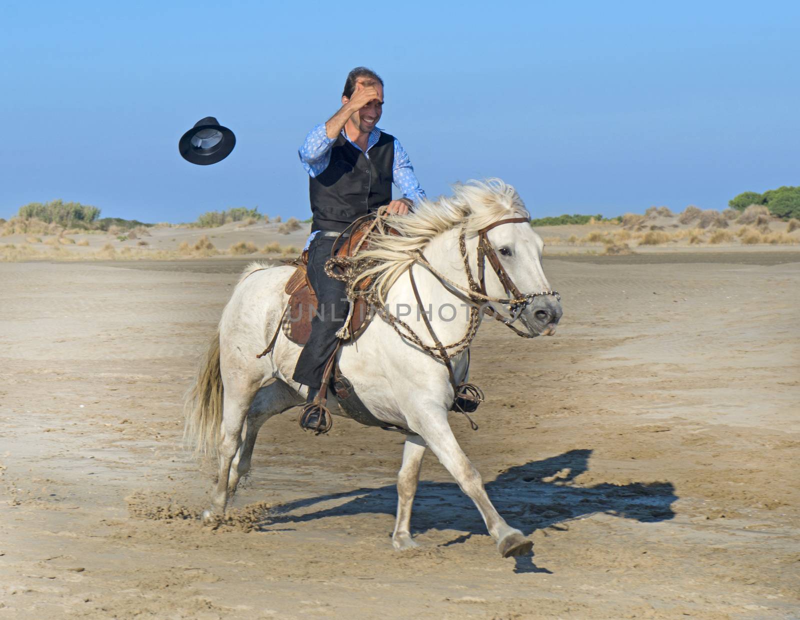 horse woman and her stallion riding on the beach