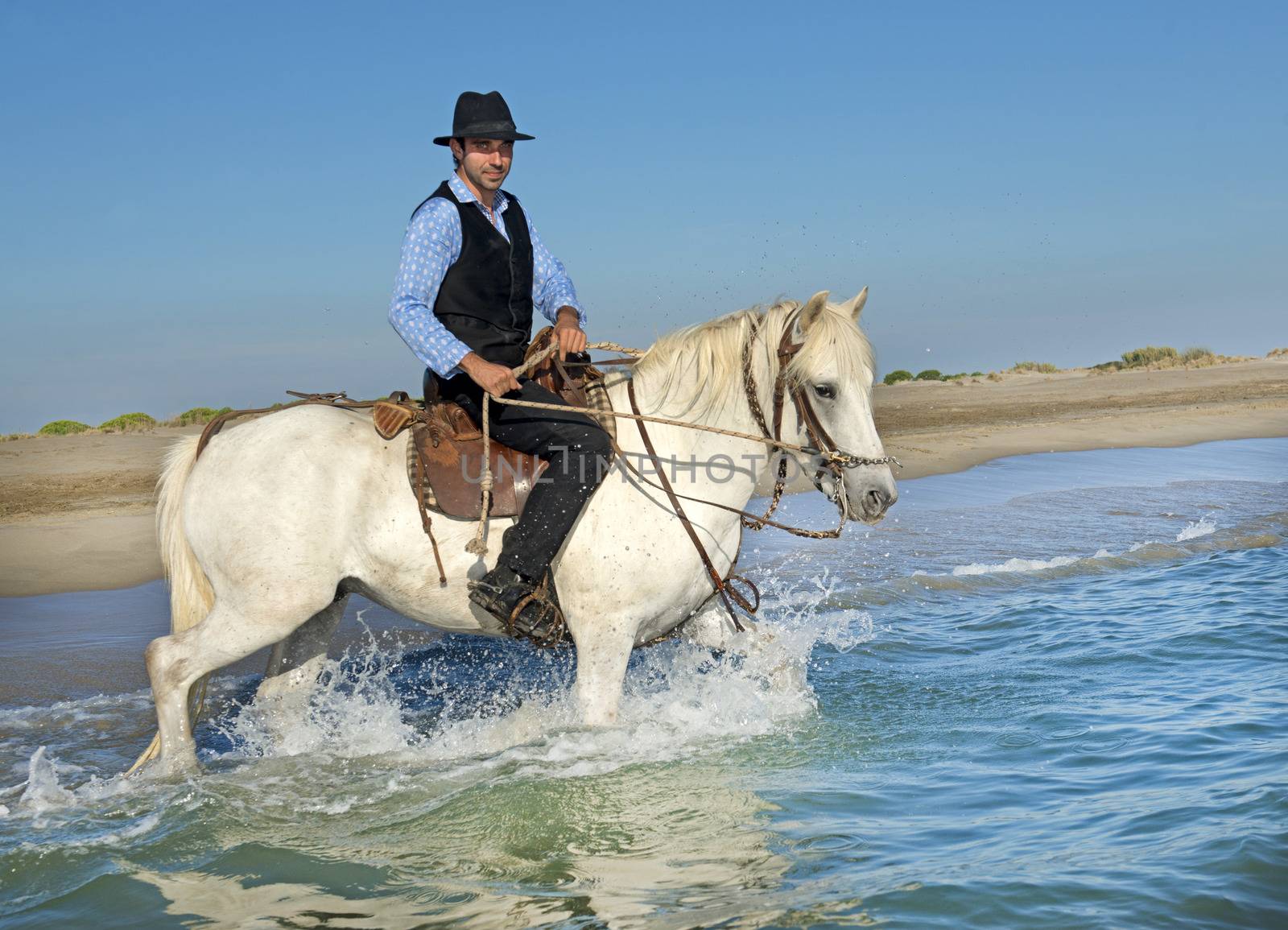 horseman and his Camargue horse in the sea