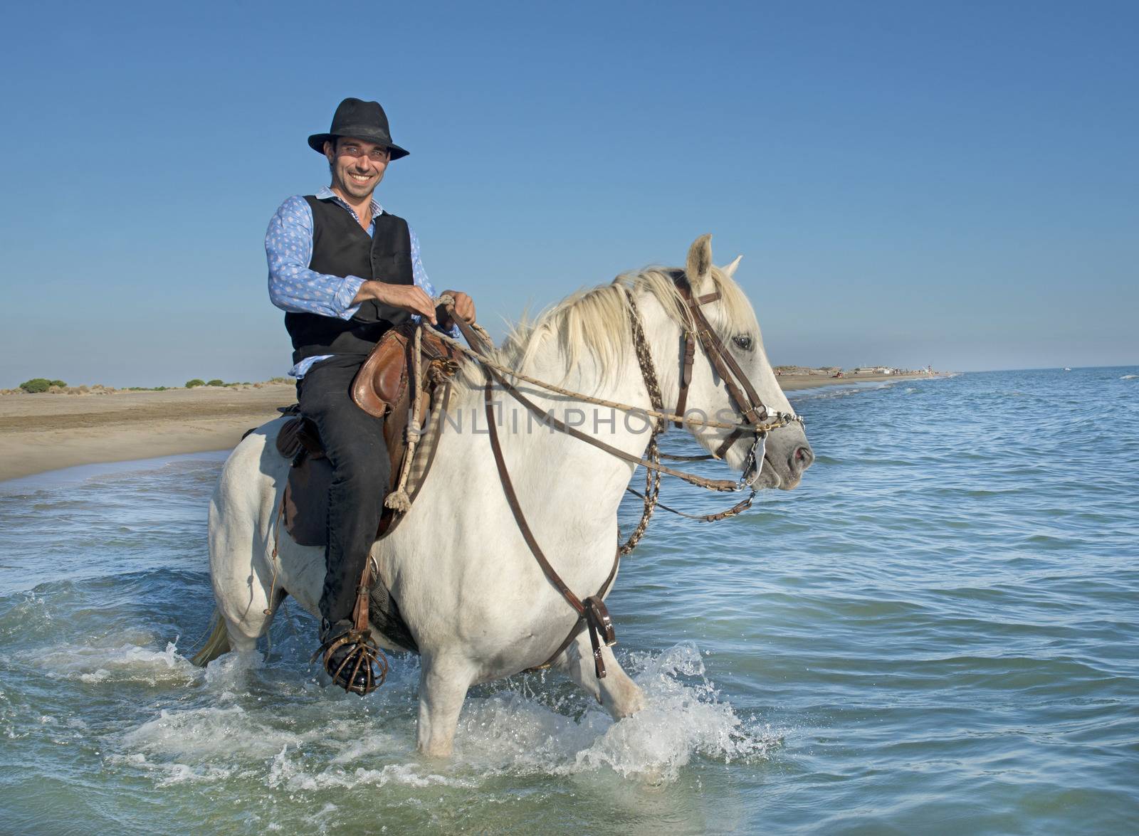 horse rider in the sea by cynoclub