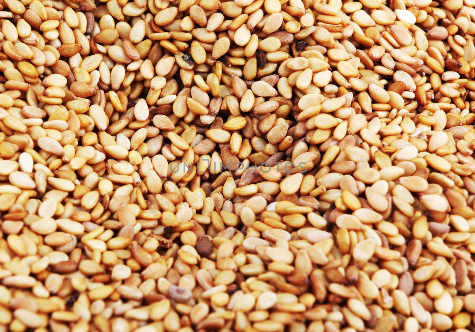 Sesame seeds background.