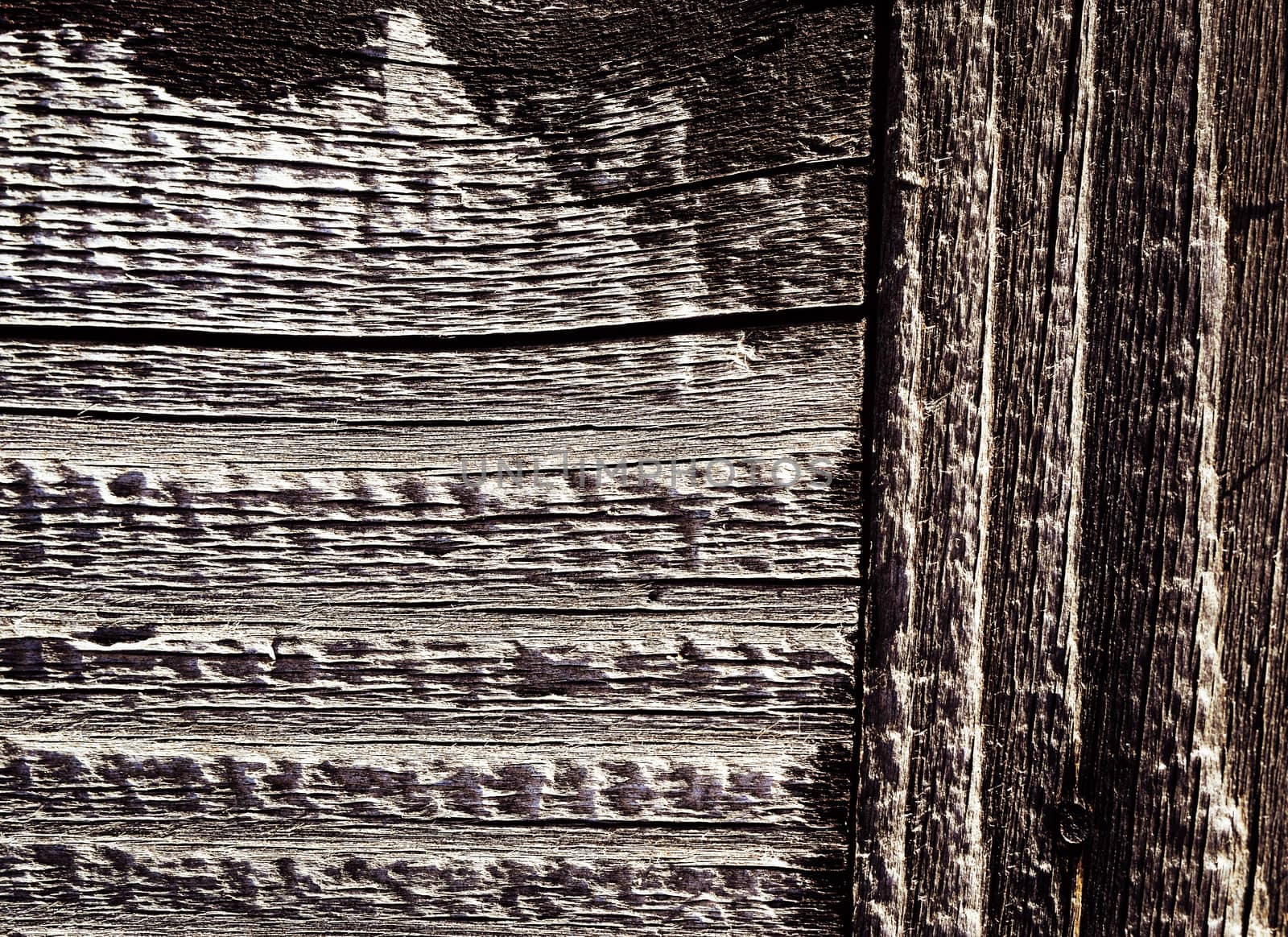 abstract background detail the structure of the old wood
