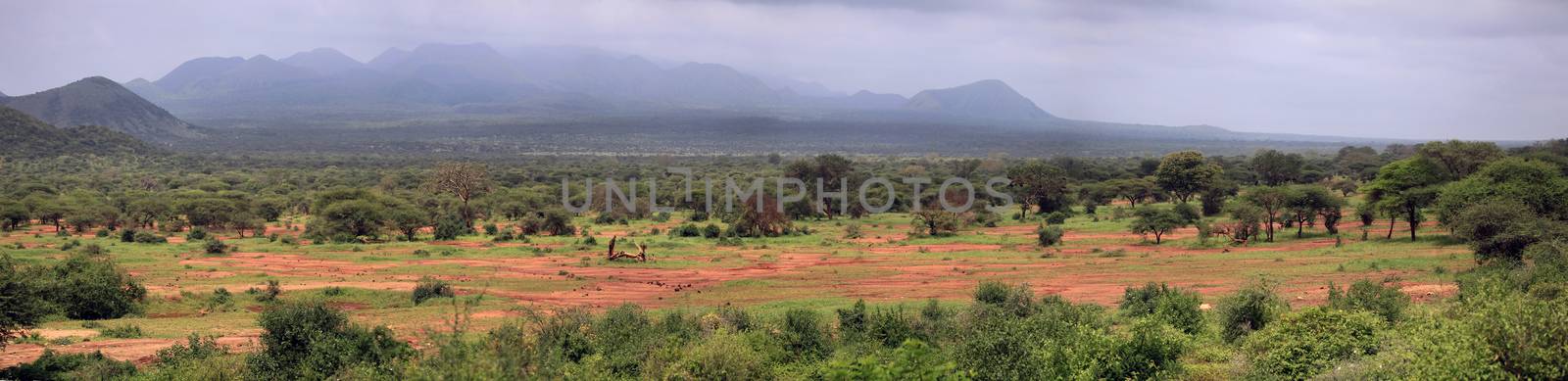 Tcavo national park by friday