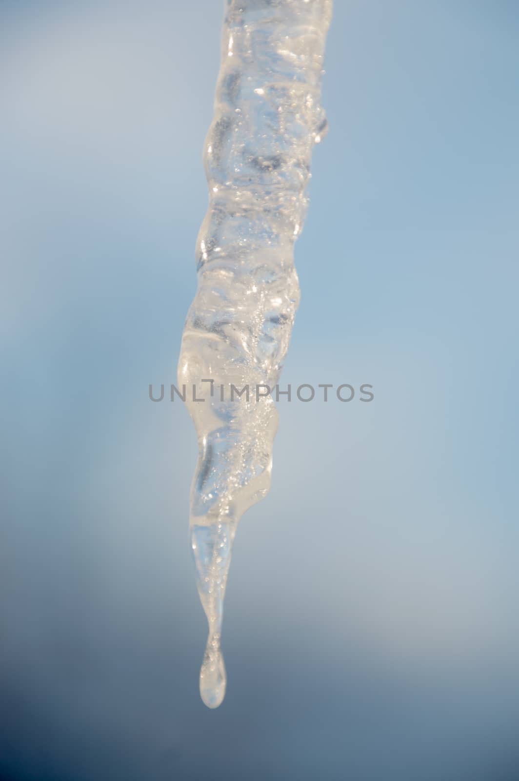 Closeup of a sparkling icicle against a blurred blue sky