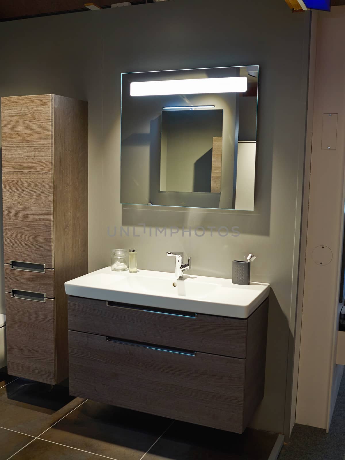 Beautiful Small Modern Trendy Design Bathroom in Luxury Home                                  