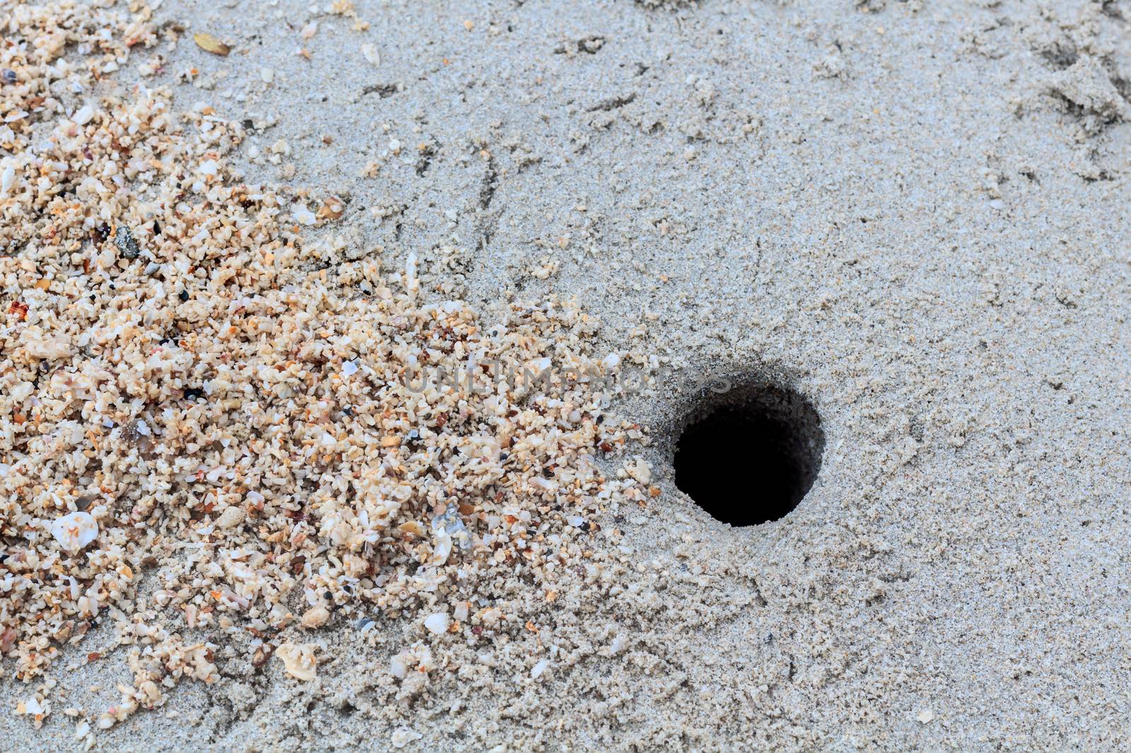 Crab hole on the Tropical Beach by yeekazar