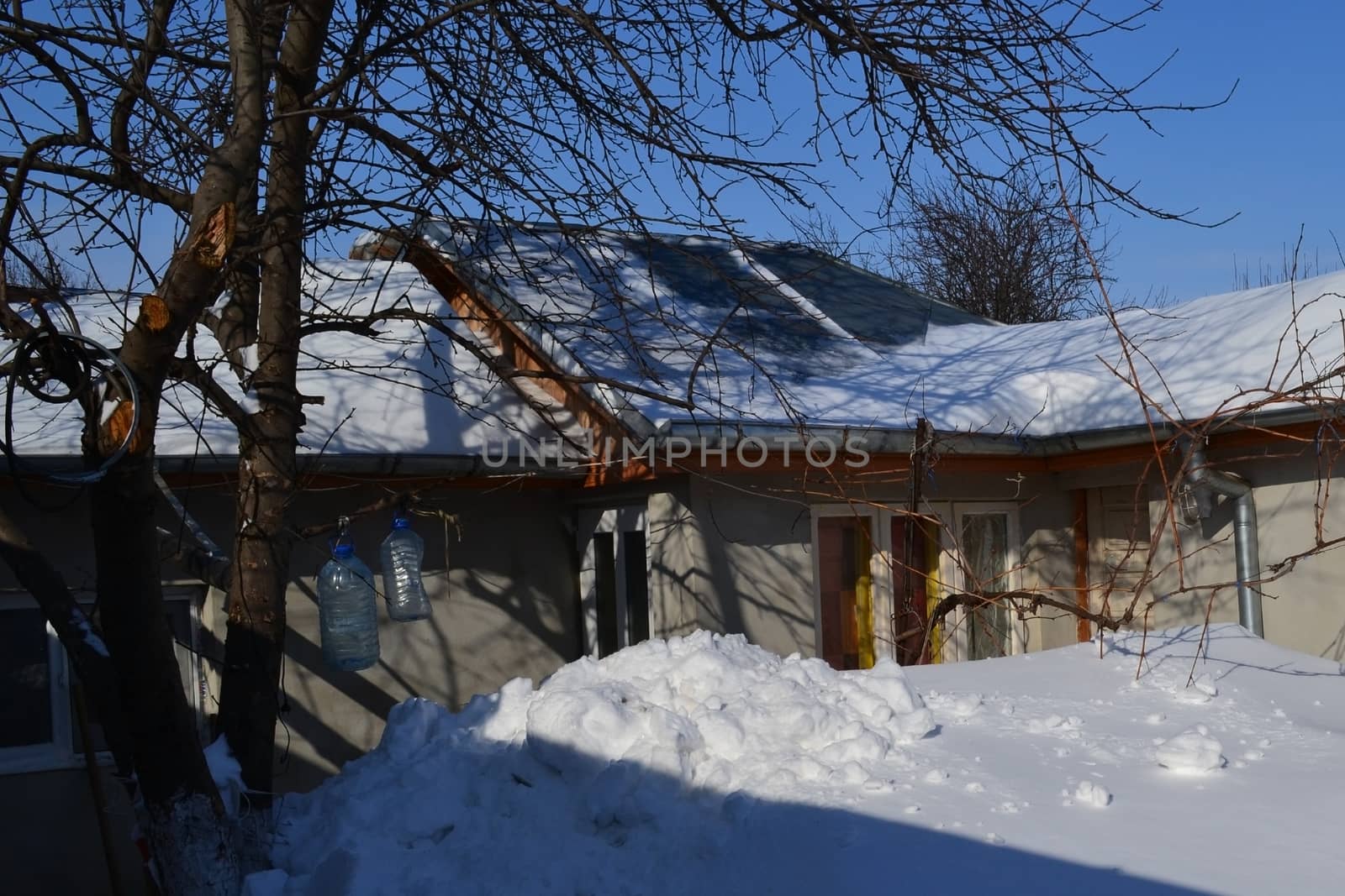 Great snow cover roofs, walkways, gardens, trees, objects