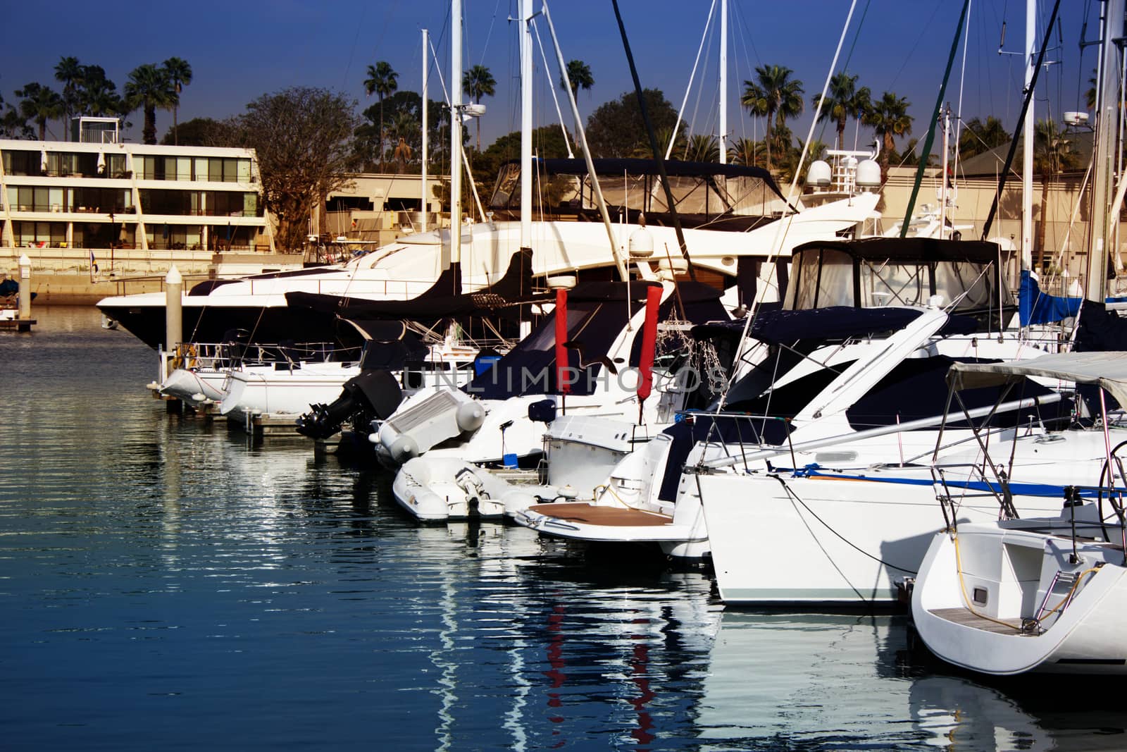 A sailboat harbor with a large number of sailing boats in the marina Marina del Ray in Los Angeles.