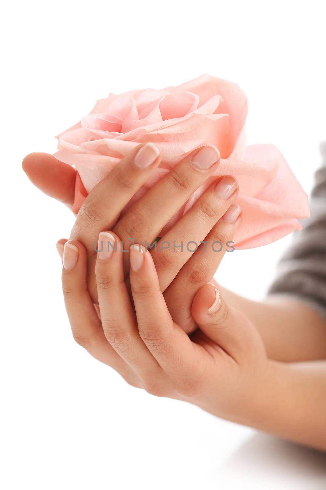 Skin care. Hands with pink rose head