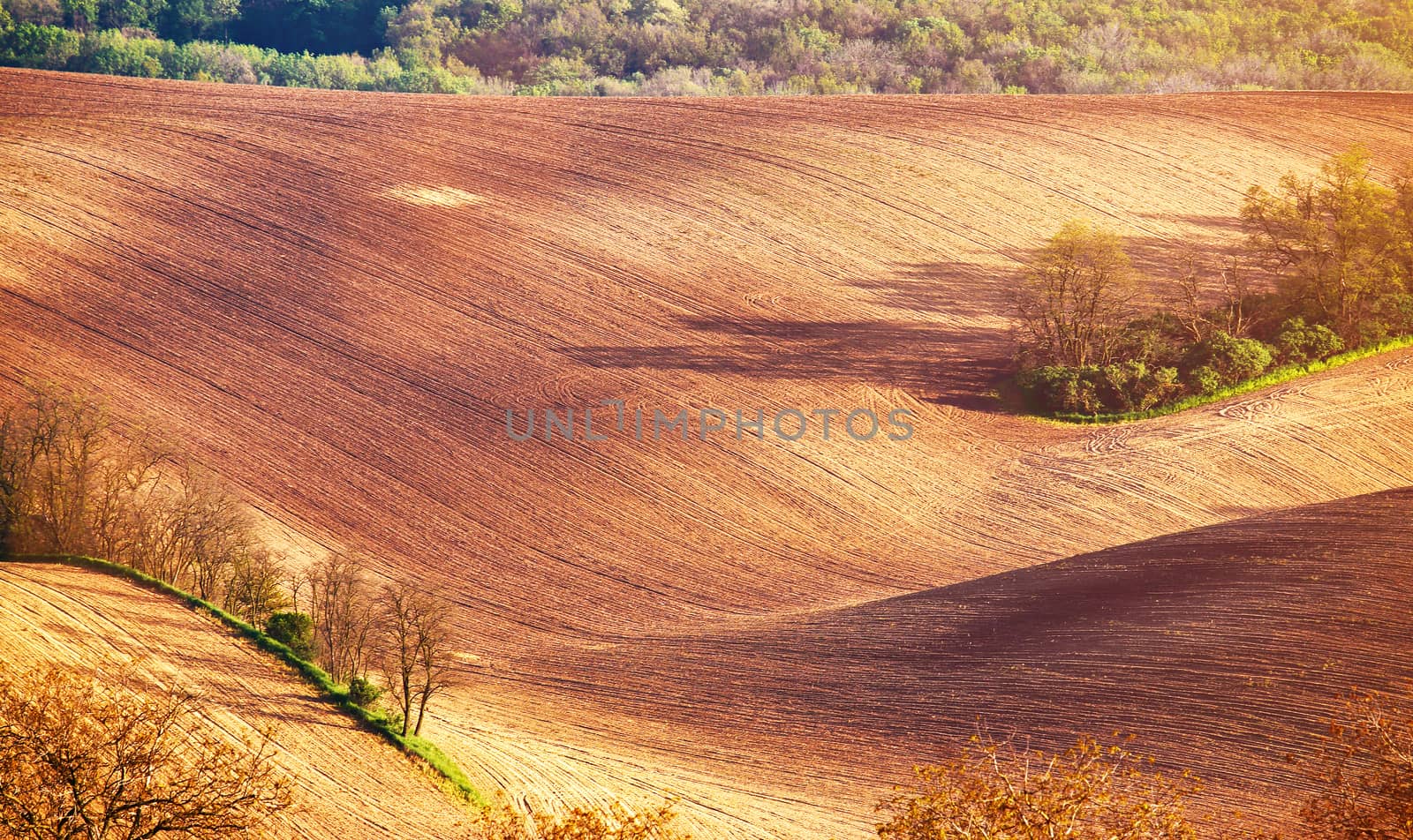 Abstract pattern texture of rolling wavy fields in spring. Spring tillage soil. Arable land on hills. Moravia, Czech Republic