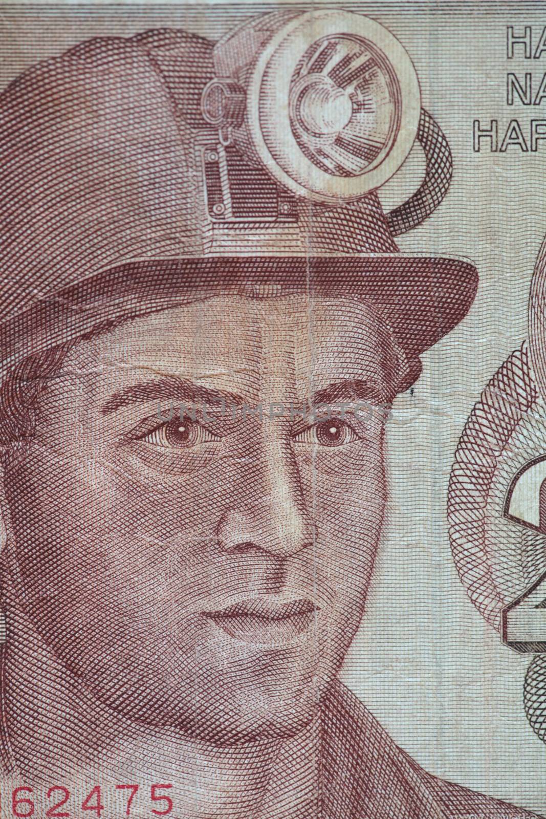 portrait worker on a banknote by mrivserg